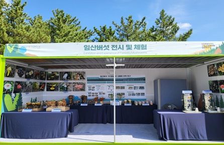 강원특별자치도산림과학연구원 2023 강원세계산림엑스포 참가 “임산버섯 전시 및 체험부스”성황리 마쳐