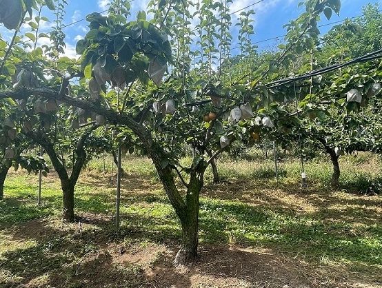 파주시, 2024년 유기농업자재 지원…12월 29일까지 신청