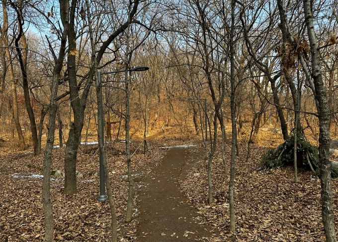 풀무골공원 CCTV 설치 대상지 현장사진