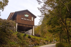 경기관광공사, 숲에서의 하루! 경기도의 아름다운 숲길