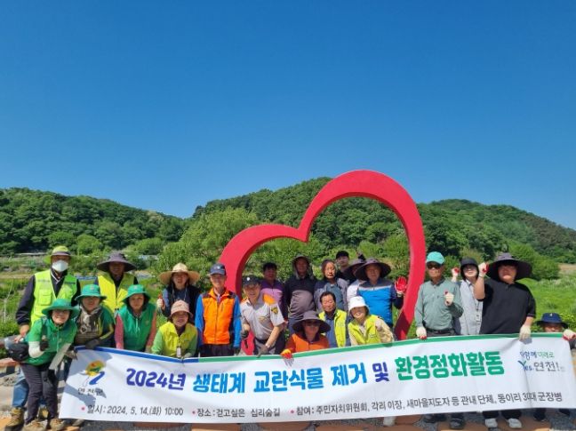 연천군 미산면, 생태계 교란식물 제거 및 환경정화 활동