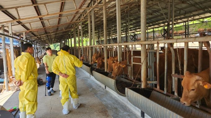 연천군, 청년농업인 종합컨설팅 애로사항 해결