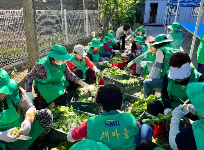 연천군새마을부녀회, ‘사랑의 계절김치 담그기’ 봉사활동