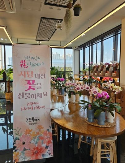 용인특례시는 13일까지 죽전휴게소 로컬푸드 행복장터에서 지역 화훼 농가 미니 화분을 판매한다