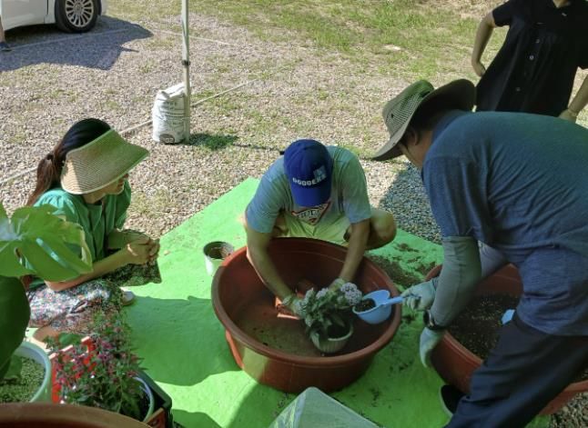 용인특례시에서 제공하는 반려식물 분갈이 서비스 모습