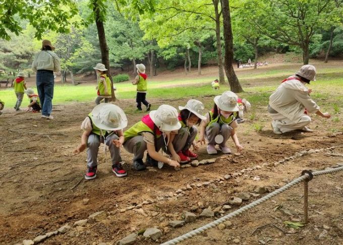 유아숲 체험