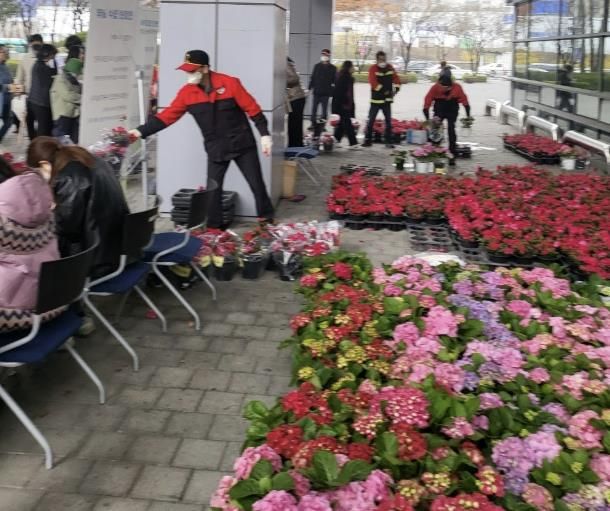 지난해 열린 나무 나누어주기 행사 장면