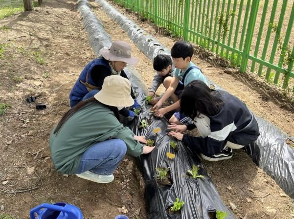 지난해 용인특례시 지역 초등학교에서 진행된 생태텃밭 교육 현장