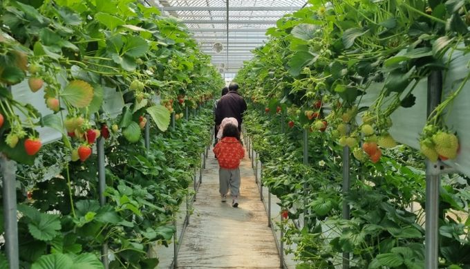 양주시, ‘농촌 사랑 자연 체험 학습 지원사업’ 진행