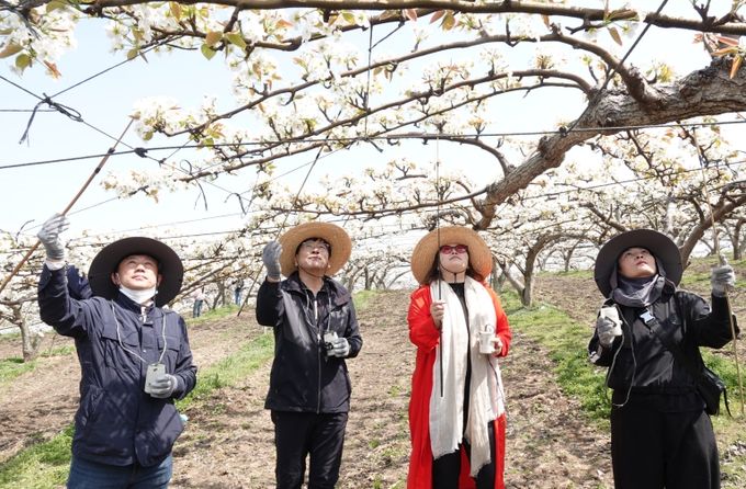 아산시의회가 과수농가 일손돕기에 나섰다.