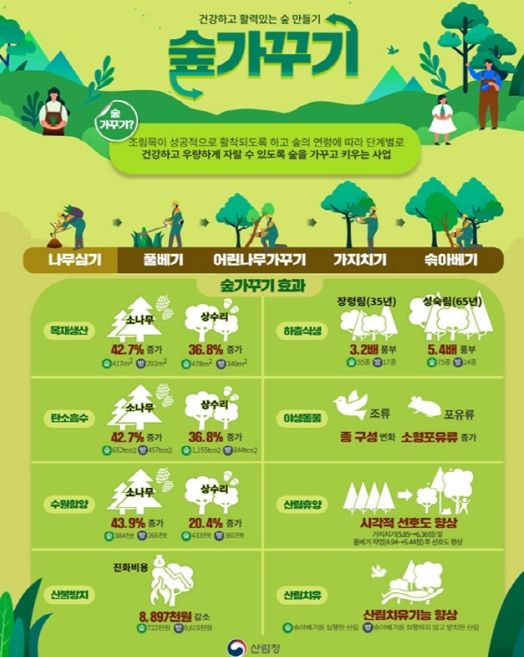 맞춤형 숲가꾸기 사업