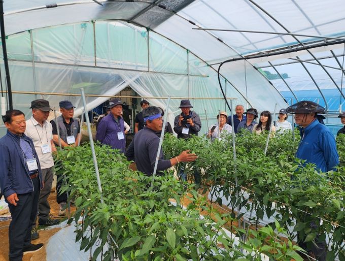 예비 귀농들이 전문 영농기술 현장 교육을 받는 모습