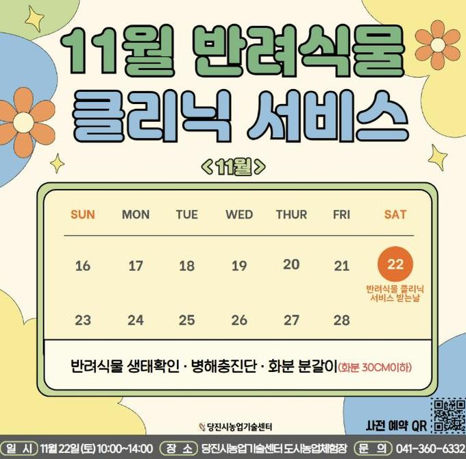 11월 반려식물 클리닉 카드뉴스