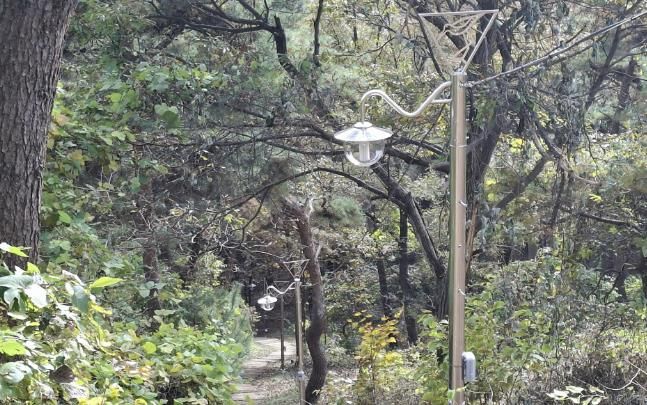 서산시, 부춘산 등산로 보안등 설치 완료