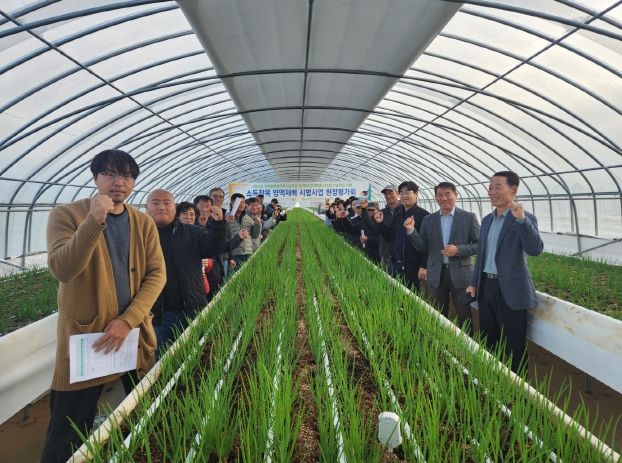 서천군, 쪽파 양액재배로 연 6~8기작 주년생산 체계 구축 성공