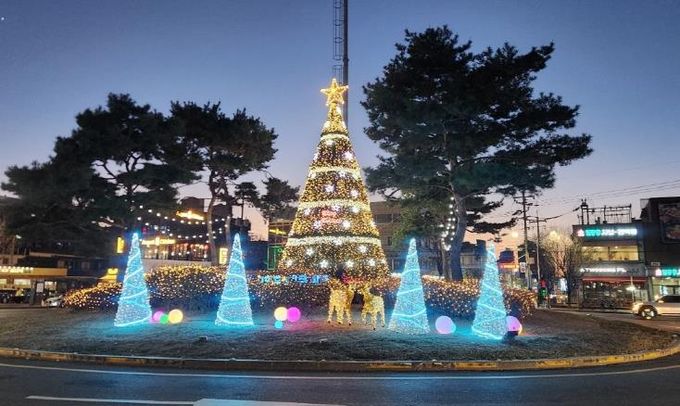 파주시 주요 교차로 대형 성탄절 나무 경관조명 설치… 따뜻한 연말 분위기 연출