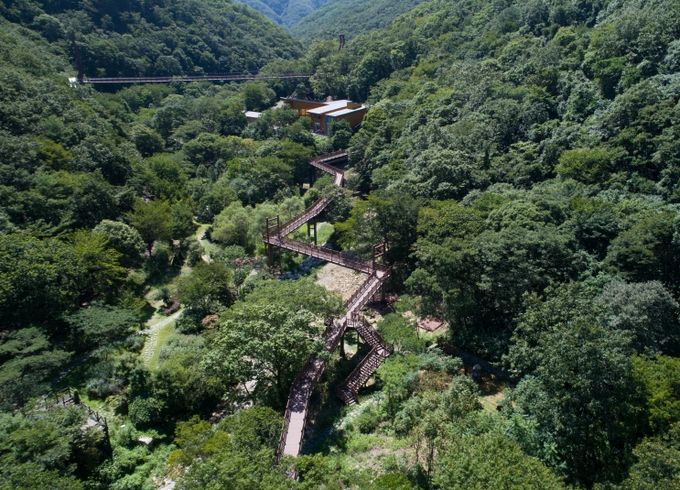 금산산림문화타운