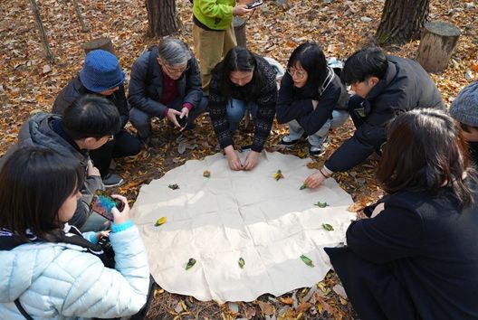 강원관광재단, ‘감탄로드’