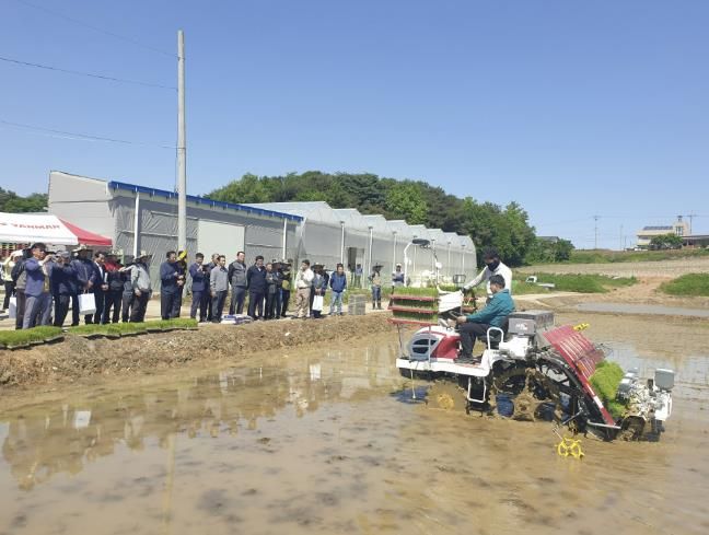 드문모 심기 이앙 연시회