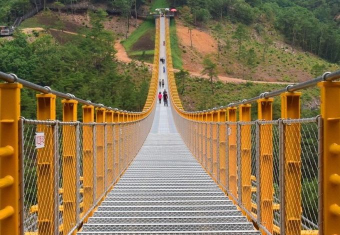금산군 월영산 출렁다리