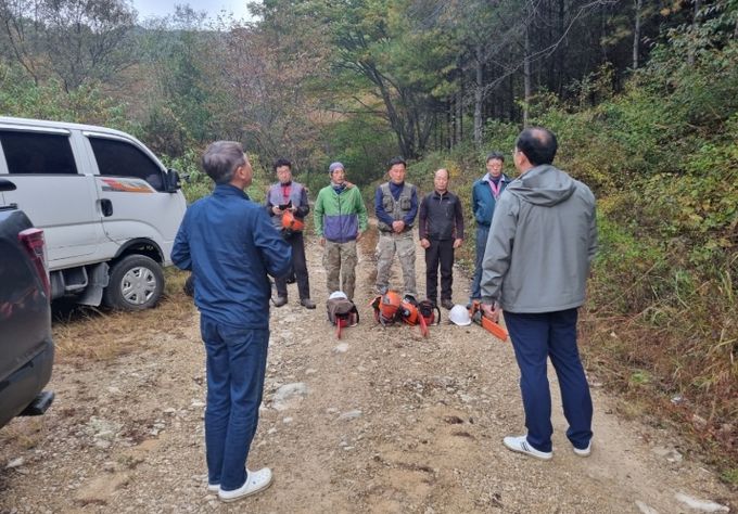 입목벌채지 벌목현장 안전점검 현장