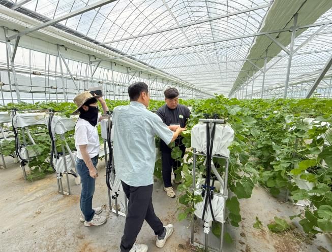 지난해 스마트팜 선도농가 현장실습 모습