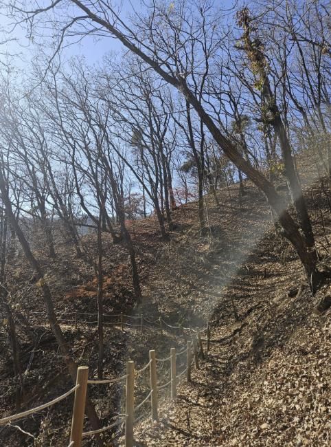 용인특례시가 추진한 광교산둘레길 2차사업 대상지 모습