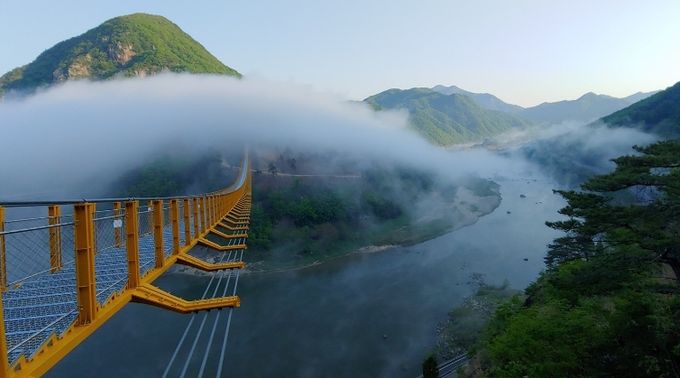 월영산 출렁다리