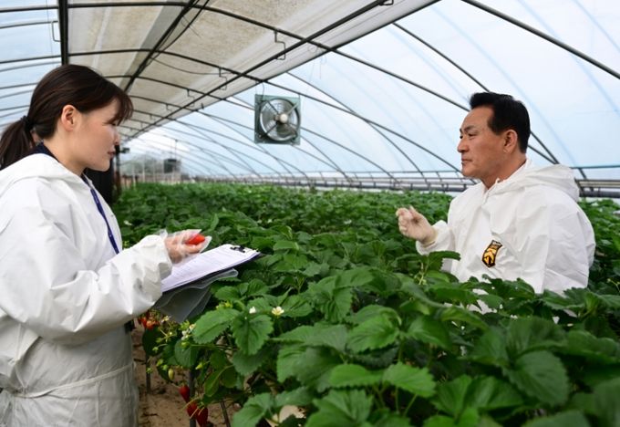 논산딸기축제 앞두고 현장 안전성 점검