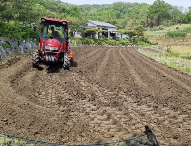 농작업 지원 현장 모습