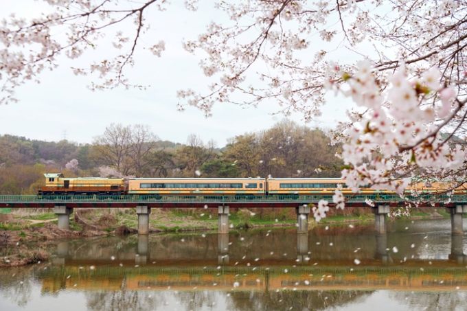 양주시, ‘교외선 아트-플롯’ 경기도 로컬관광 공모 선정… 장흥 예술관광 본격화