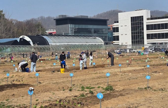 광명시 하안동 밤일마을에 자리한 시민주말농장에서 시민들이 땅을 가꾸고 있다.