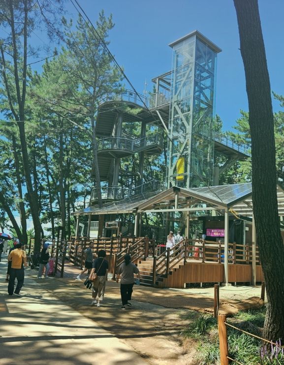 서천군, 장항스카이워크 운영시간 연장