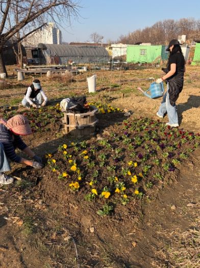 광명시 광명5동 청소년지도협의회는 지난 28일 다가오는 식목일을 기념해 위원들과 함께 봄꽃 심기 행사를 진행했다.