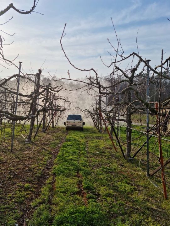 과수 화상병 예방, 사과 ․ 배 농가에 적기방제 당부