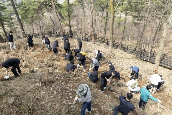 연천군, 제81회 식목일 기념 산철쭉 식재