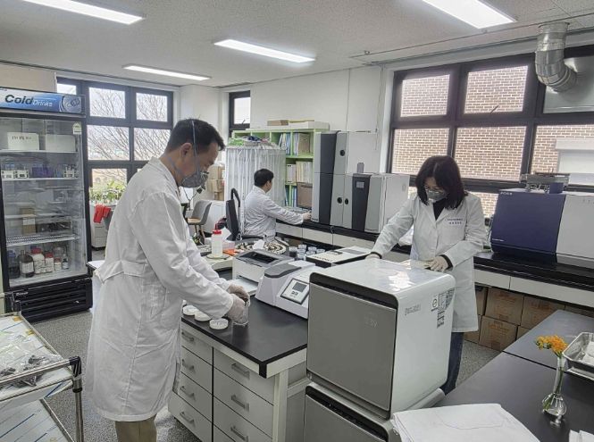 퇴비 부숙도 검사 현장(당진시농업기술센터 관계자가 축산농가에서 제출한 가축분(퇴비) 시료를 활용해 부숙도 검사를 진행하고 있다.)