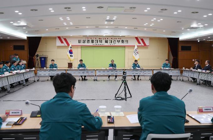 오후 3시, 별관 대회의실, 비상경제 점검 및 분야별 대책방안 논의
