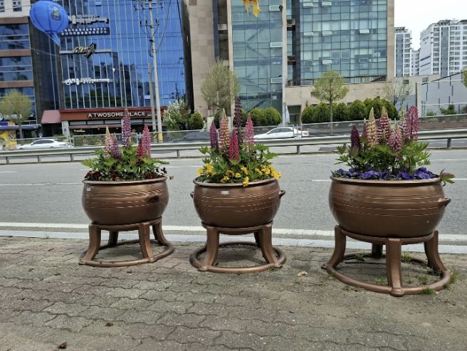 봄꽃 식재 모습